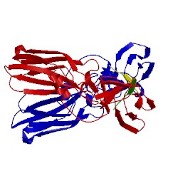 Image of CATH 1ebp