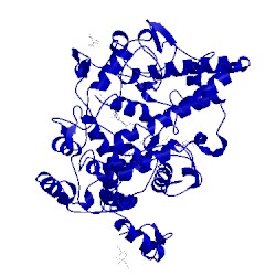 Image of CATH 1ebv