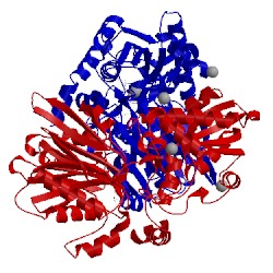 Image of CATH 1ecc