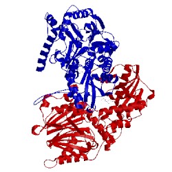 Image of CATH 1ecf