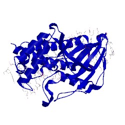 Image of CATH 1ecr