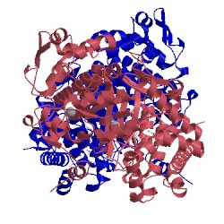 Image of CATH 1eex