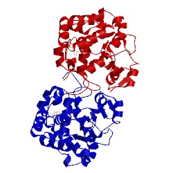 Image of CATH 1efh