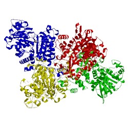 Image of CATH 1efk