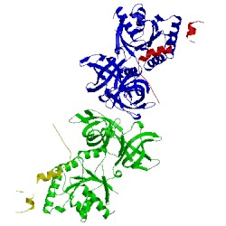 Image of CATH 1efu