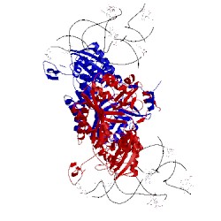 Image of CATH 1efw