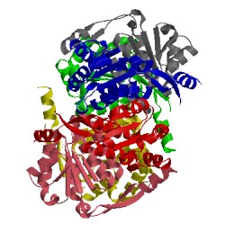 Image of CATH 1egh