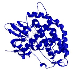 Image of CATH 1egy