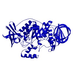 Image of CATH 1eh9