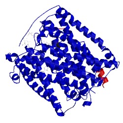 Image of CATH 1ehk