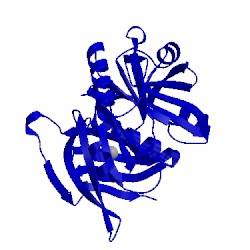 Image of CATH 1eir