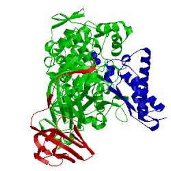 Image of CATH 1ejs