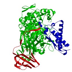 Image of CATH 1ejw