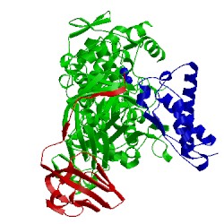 Image of CATH 1ejx