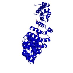 Image of CATH 1ejy