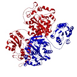 Image of CATH 1ek1