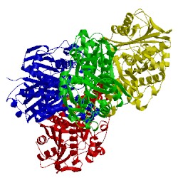 Image of CATH 1ek4