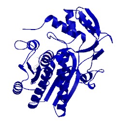 Image of CATH 1ek5