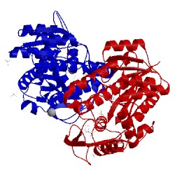 Image of CATH 1ek6