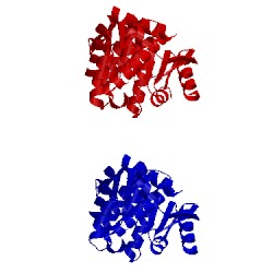 Image of CATH 1ekq