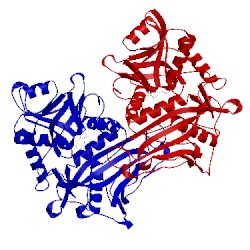 Image of CATH 1ekv