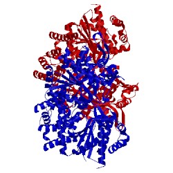 Image of CATH 1em6