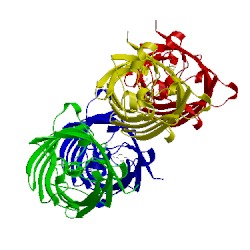 Image of CATH 1emc