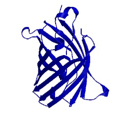 Image of CATH 1emf
