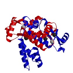 Image of CATH 1en7