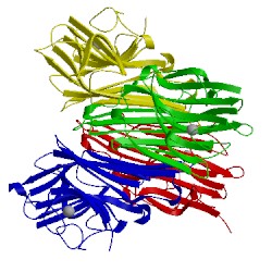 Image of CATH 1enq