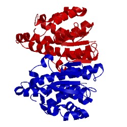 Image of CATH 1eog