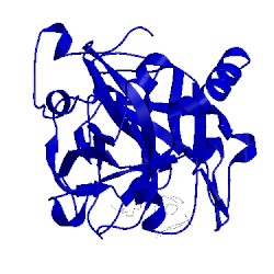 Image of CATH 1eoj