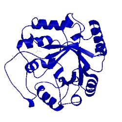 Image of CATH 1eok