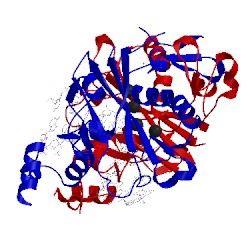 Image of CATH 1eon