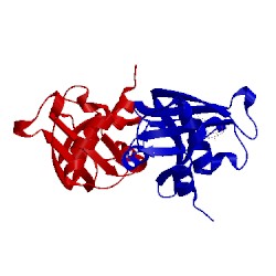 Image of CATH 1eos