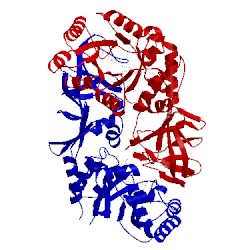 Image of CATH 1epv