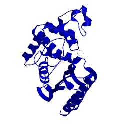 Image of CATH 1erq