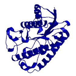 Image of CATH 1esc