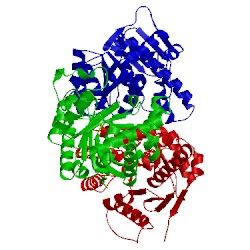 Image of CATH 1esj