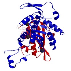 Image of CATH 1esv