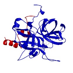 Image of CATH 1ett