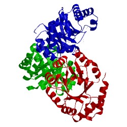 Image of CATH 1eua