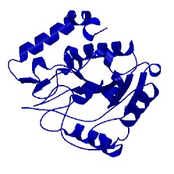 Image of CATH 1eug