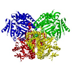 Image of CATH 1euh