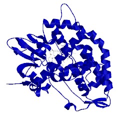 Image of CATH 1eup