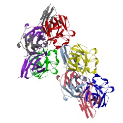 Image of CATH 1ev2