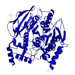 Image of CATH 1eve