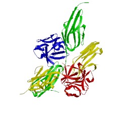 Image of CATH 1evt