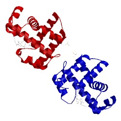 Image of CATH 1ew6