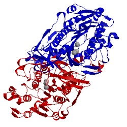 Image of CATH 1ew9